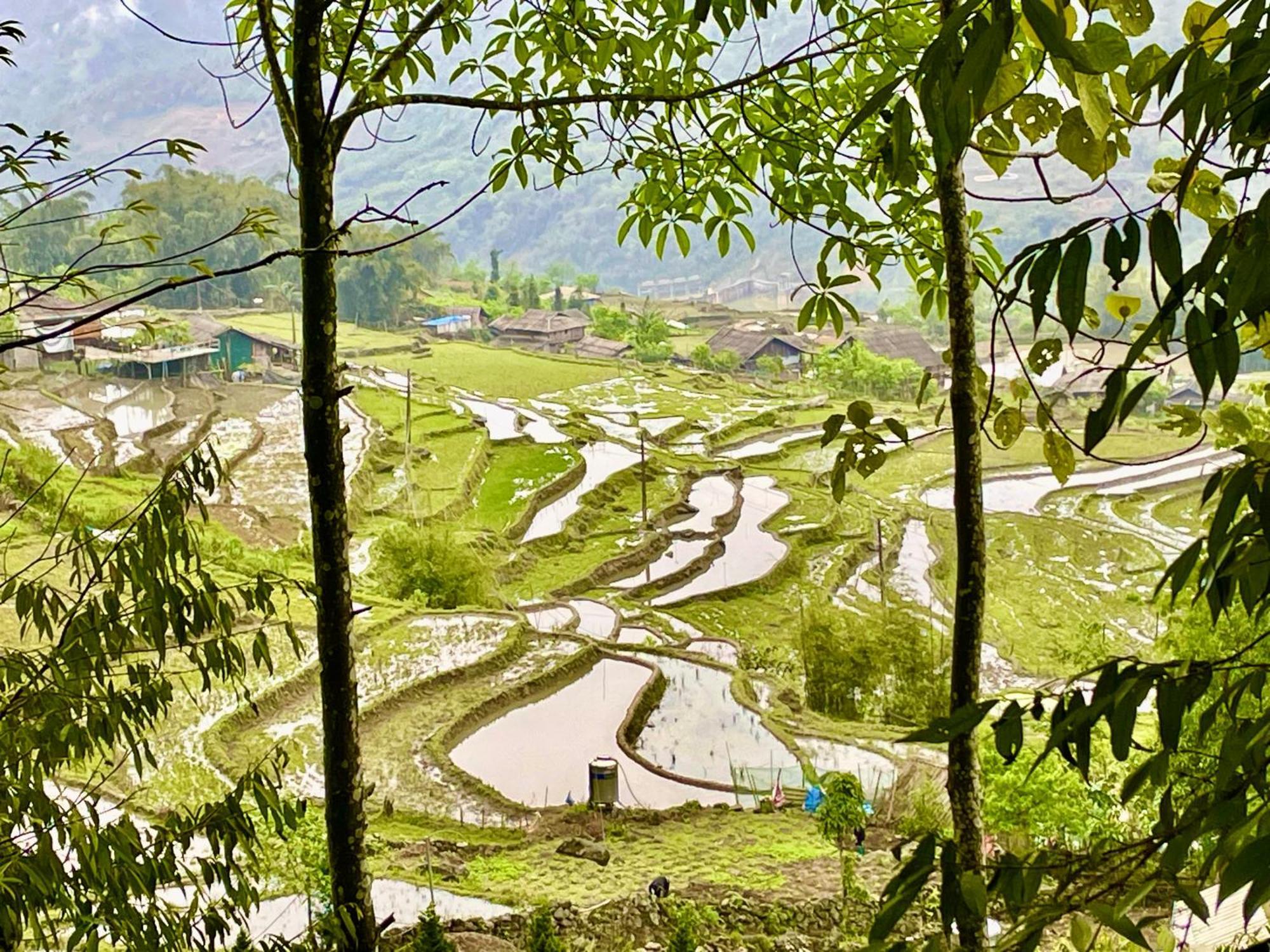 Sue Pa Family Trekking Homestay Sa Pa Exterior photo
