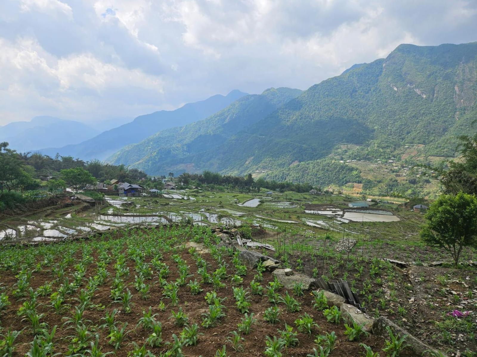 Sue Pa Family Trekking Homestay Sa Pa Exterior photo